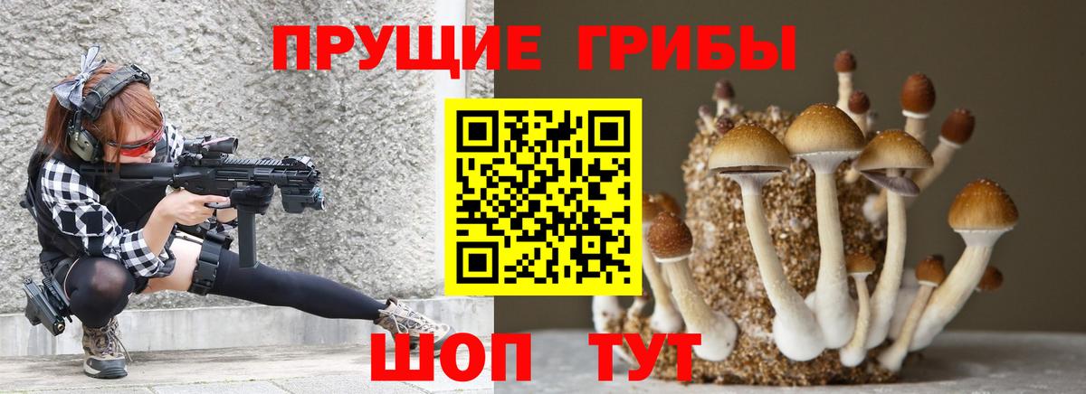 Галлюциногенные грибы прущие грибы Черкесск